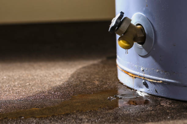 Best Professional water damage repair  in Opa Locka, FL