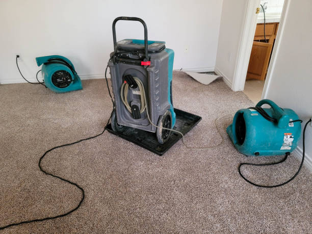 Best Sewage cleanup and water damage restoration  in Opa Locka, FL