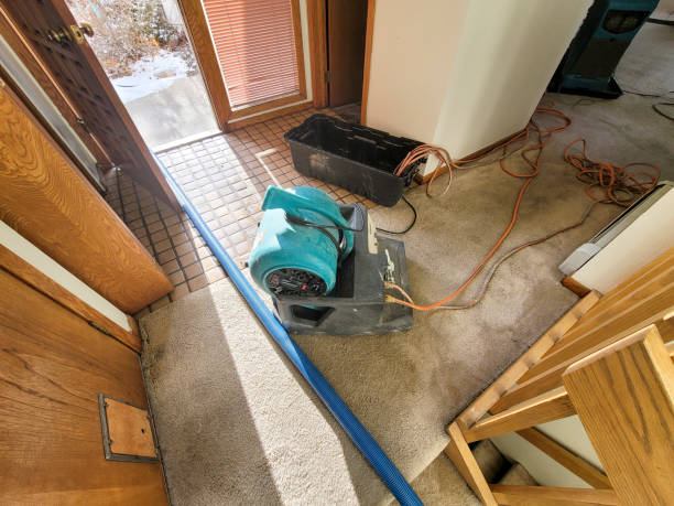 Best Water damage restoration process  in Opa Locka, FL