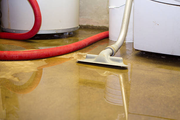 Best Local water damage restoration  in Opa Locka, FL