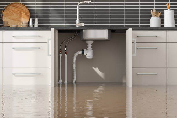 Best Fire Damage Restoration  in Opa Locka, FL