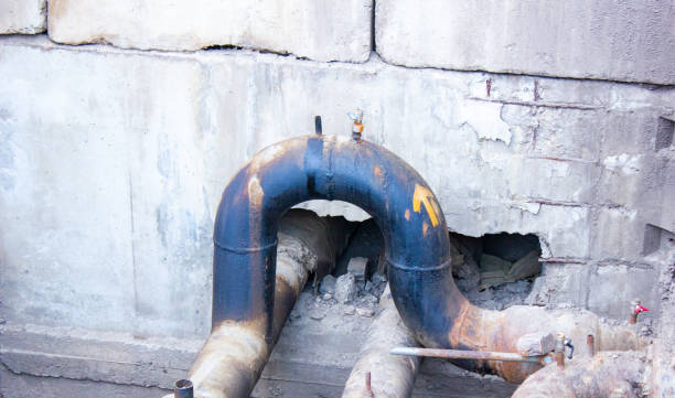 Best Water damage cleanup near me  in Opa Locka, FL
