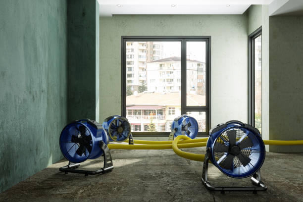 Best Water damage restoration cost  in Opa Locka, FL
